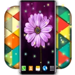 live wallpaper creator editor android application logo